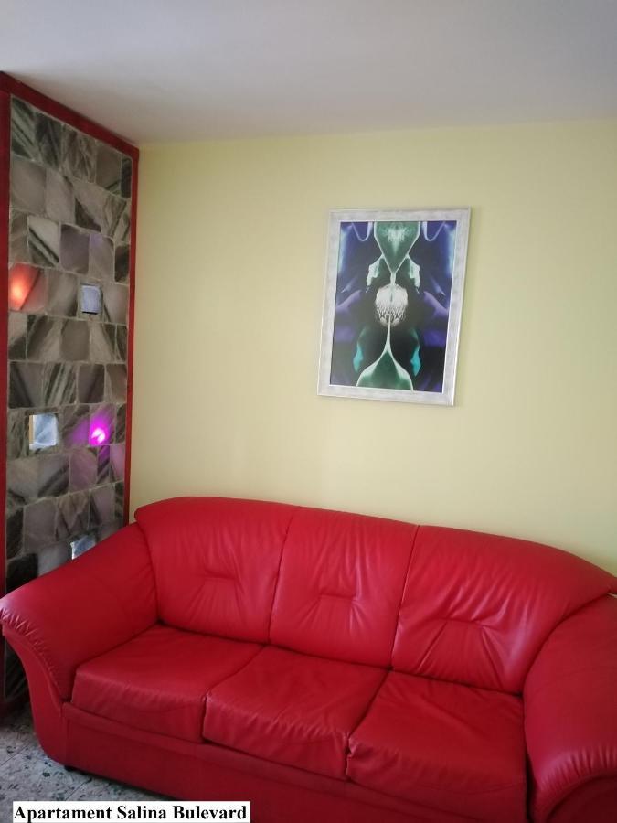 Apartament Salina Bulevard Alba Iulia Exterior foto